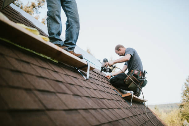 Quick and Trustworthy Emergency Roof Repair Services in Muncy, PA
